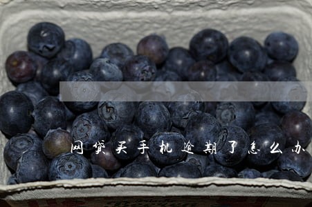 网贷买手机逾期了怎么办