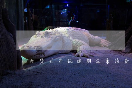 网贷买手机逾期立案侦查