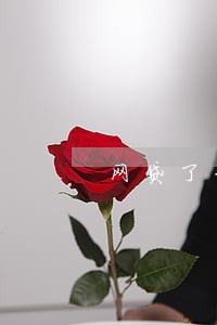 网贷了3000逾期了一年半 网贷了3000逾期了一年半