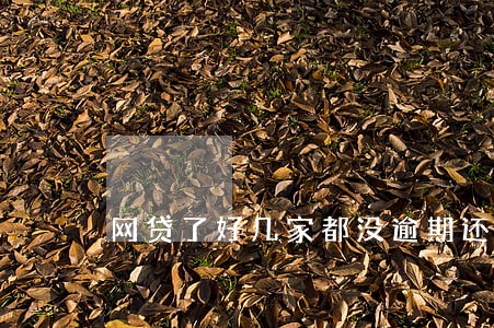 网贷了好几家都没逾期还能办理吗 网贷了好几家都没逾期还能办理吗