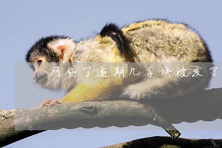 网贷了逾期几千块被发了律师函 网贷了逾期几千块被发了律师函