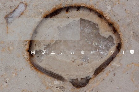 网贷二万五逾期一个月要多少钱 网贷二万五逾期一个月要多少钱