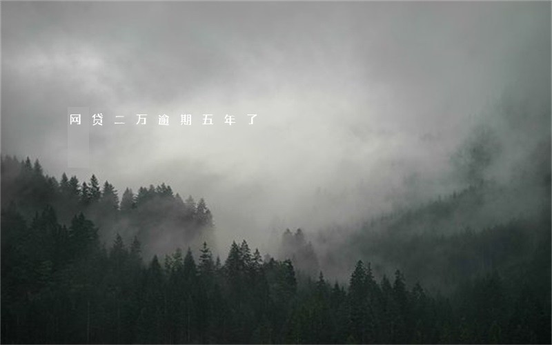 网贷二万逾期五年了