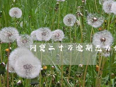 网贷二十万逾期无力偿还 网贷二十万逾期无力偿还