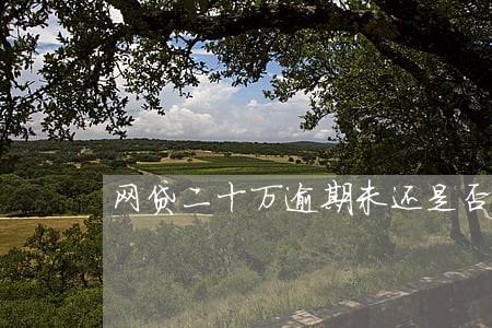 网贷二十万逾期未还是否刑拘劳教 网贷二十万逾期未还是否刑拘劳教