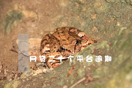 网贷二十个平台逾期 网贷二十个平台逾期