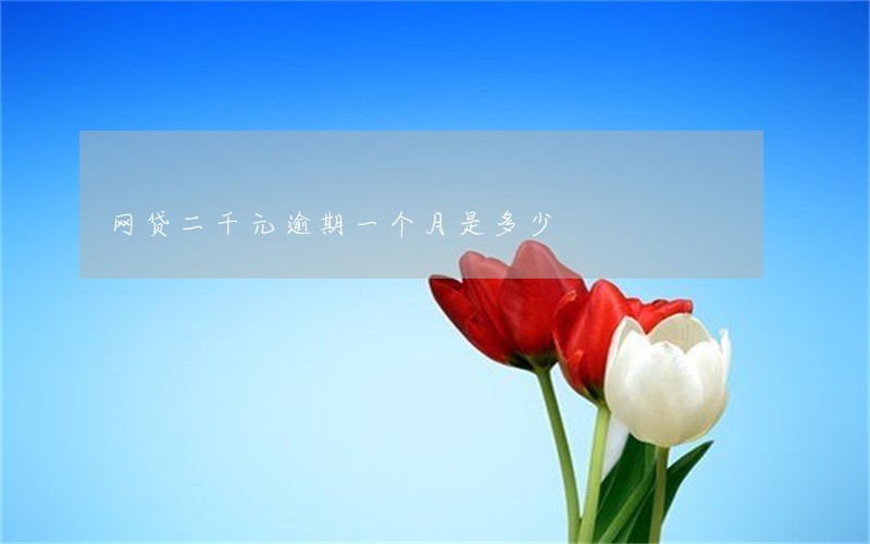 网贷二千元逾期一个月是多少 网贷二千元逾期一个月是多少
