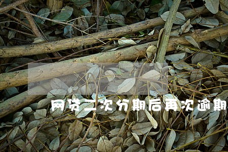网贷二次分期后再次逾期 网贷二次分期后再次逾期