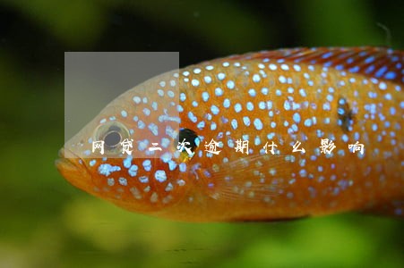 网贷二次逾期什么影响 网贷二次逾期什么影响