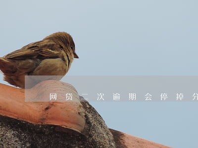 网贷二次逾期会停掉分期还款吗 网贷二次逾期会停掉分期还款吗