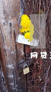 网贷五万逾期两年还九万