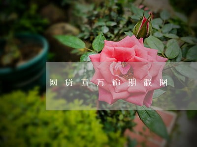 网贷五万逾期截图
