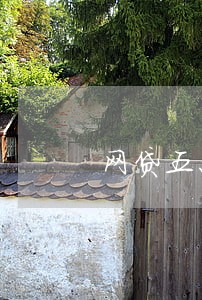 网贷五六万逾期五年