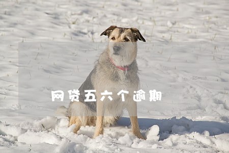 网贷五六个逾期 网贷五六个逾期