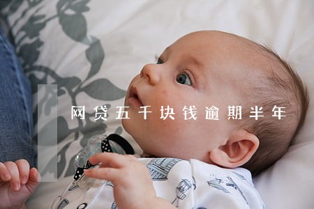 网贷五千块钱逾期半年 网贷五千块钱逾期半年