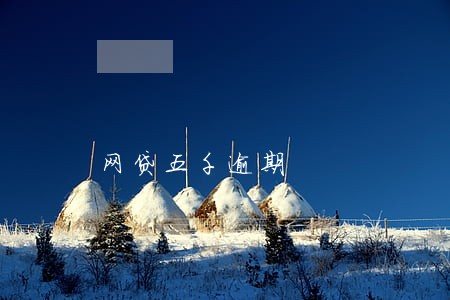 网贷五千逾期 网贷五千逾期