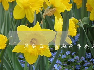 网贷五千逾期两年要还九千 网贷五千逾期两年要还九千