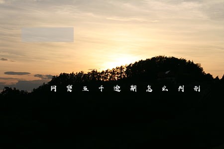网贷五千逾期怎么判刑 网贷五千逾期怎么判刑