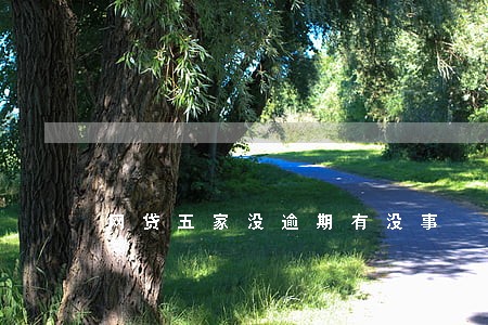 网贷五家没逾期有没事