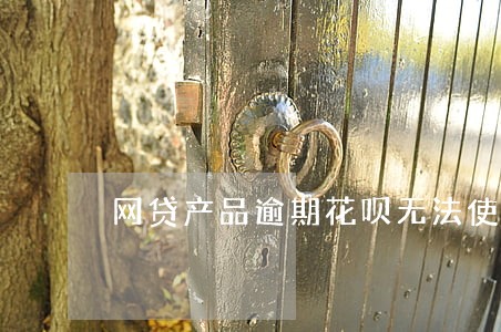 网贷产品逾期花呗无法使用 网贷产品逾期花呗无法使用