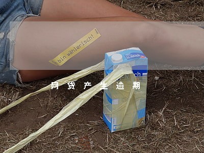 网贷产生逾期 网贷产生逾期