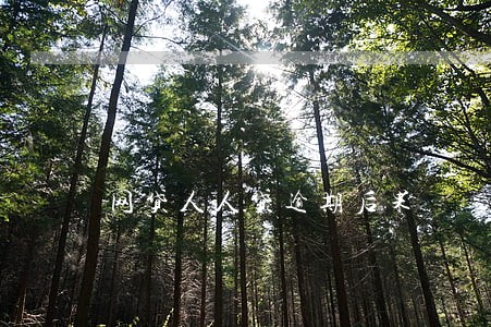 网贷人人贷逾期后果 网贷人人贷逾期后果