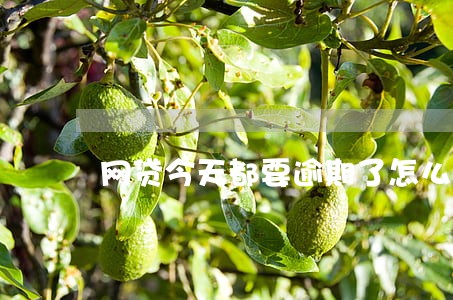 网贷今天都要逾期了怎么办 网贷今天都要逾期了怎么办