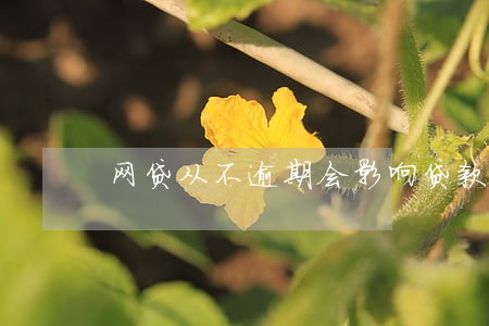 网贷从不逾期会影响贷款吗 网贷从不逾期会影响贷款吗