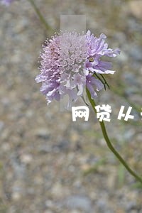 网贷从未逾期也被列入黑名单 网贷从未逾期也被列入黑名单