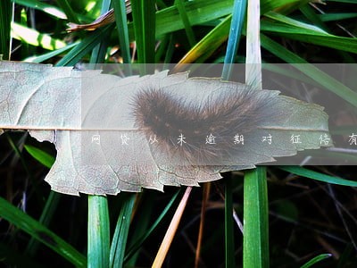 网贷从未逾期对征信有影响吗 网贷从未逾期对征信有影响吗