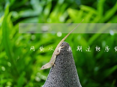 网贷从未逾期过能房贷吗