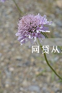 网贷从未逾期遭骚扰侵犯隐私 网贷从未逾期遭骚扰侵犯隐私