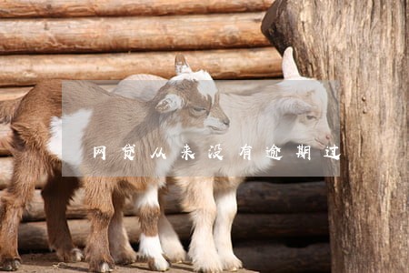 网贷从来没有逾期过