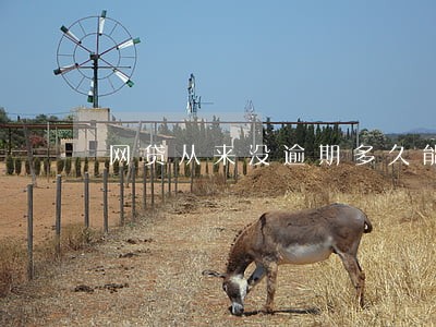 网贷从来没逾期多久能恢复 网贷从来没逾期多久能恢复