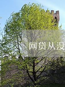 网贷从没逾期却被拒 网贷从没逾期却被拒