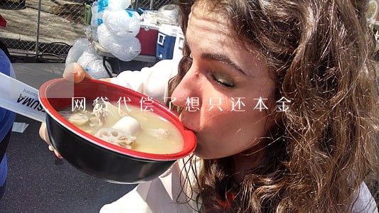 网贷代偿了想只还本金 网贷代偿了想只还本金