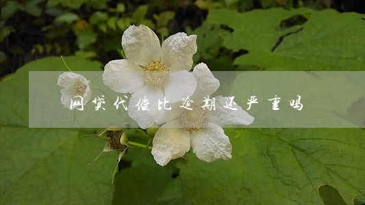 网贷代偿比逾期还严重吗 网贷代偿比逾期还严重吗