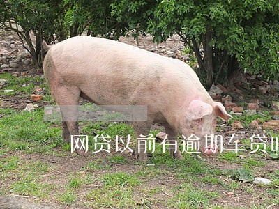 网贷以前有逾期车贷吗 网贷以前有逾期车贷吗