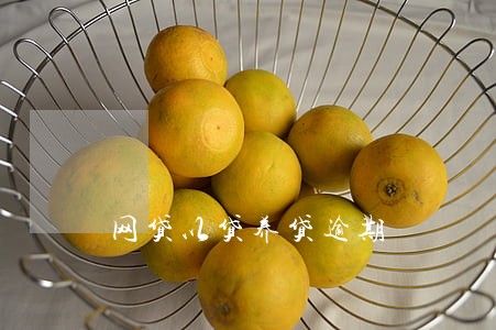 网贷以贷养贷逾期