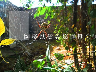 网贷以贷养贷逾期会通知 网贷以贷养贷逾期会通知