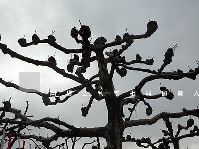 网贷会共享相同逾期人通讯录吗 网贷会共享相同逾期人通讯录吗