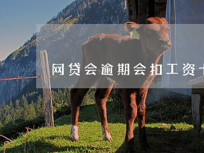 网贷会逾期会扣工资卡 网贷会逾期会扣工资卡