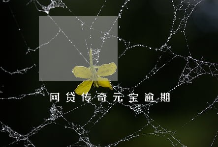 网贷传奇元宝逾期 网贷传奇元宝逾期