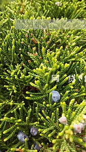 网贷但是从来不逾期影响征信吗 网贷但是从来不逾期影响征信吗