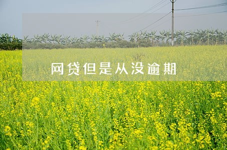 网贷但是从没逾期 网贷但是从没逾期