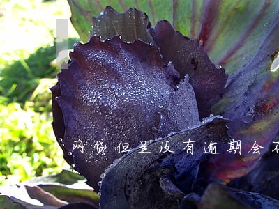 网贷但是没有逾期会不会影响房贷 网贷但是没有逾期会不会影响房贷