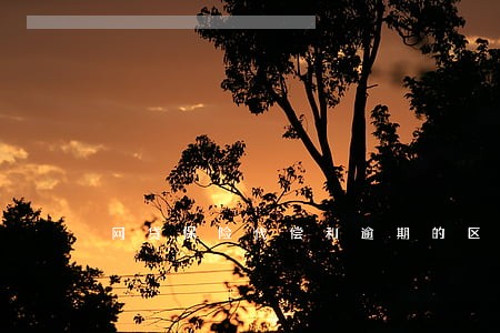 网贷保险代偿和逾期的区别 网贷保险代偿和逾期的区别