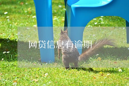 网贷信息有逾期 网贷信息有逾期
