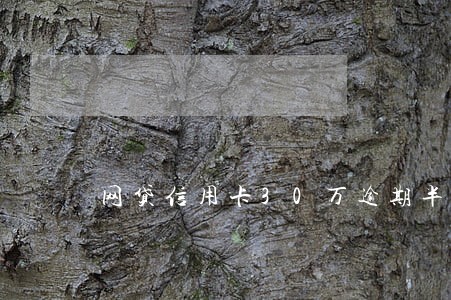 网贷信用卡30万逾期半年以上