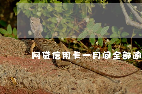 网贷信用卡一月间全部逾期怎么办 网贷信用卡一月间全部逾期怎么办